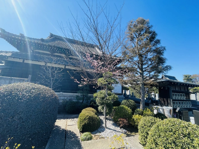 狛江市 妙善寺