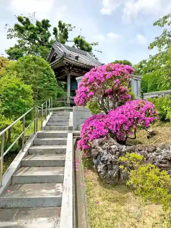 横須賀市 横須賀衣笠樹木葬墓地