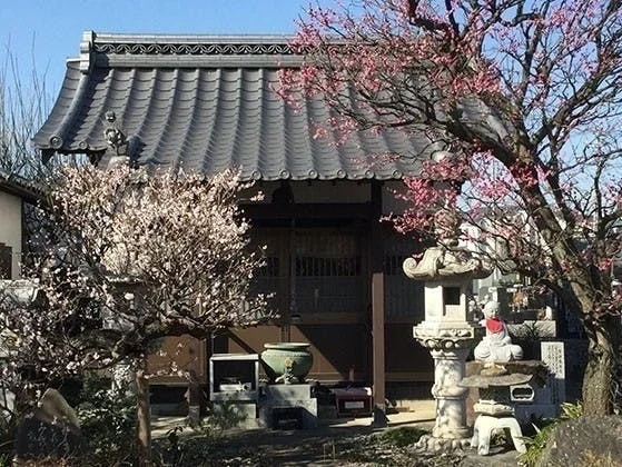熊谷市 宝性寺 のうこつぼ
