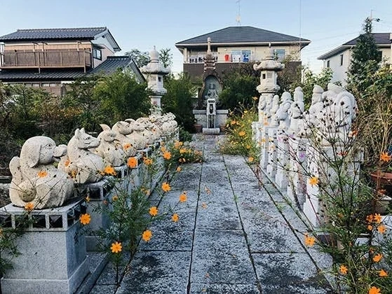 熊谷市 宝性寺 のうこつぼ