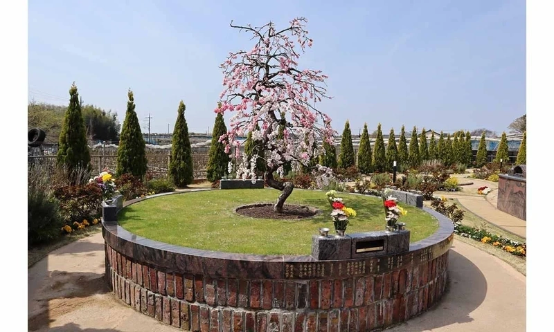 松戸市 サニープレイス松戸 樹木葬 永代供養墓